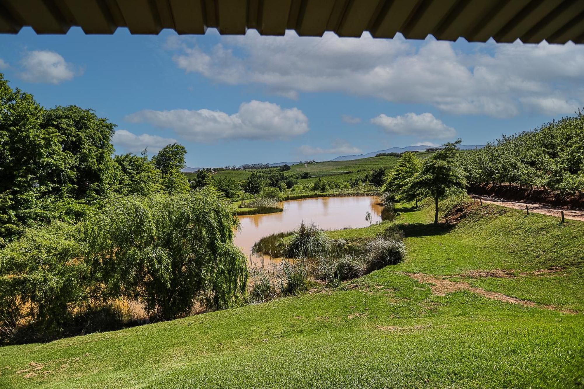 Galileo Farm Villa Elgin  Rum bild